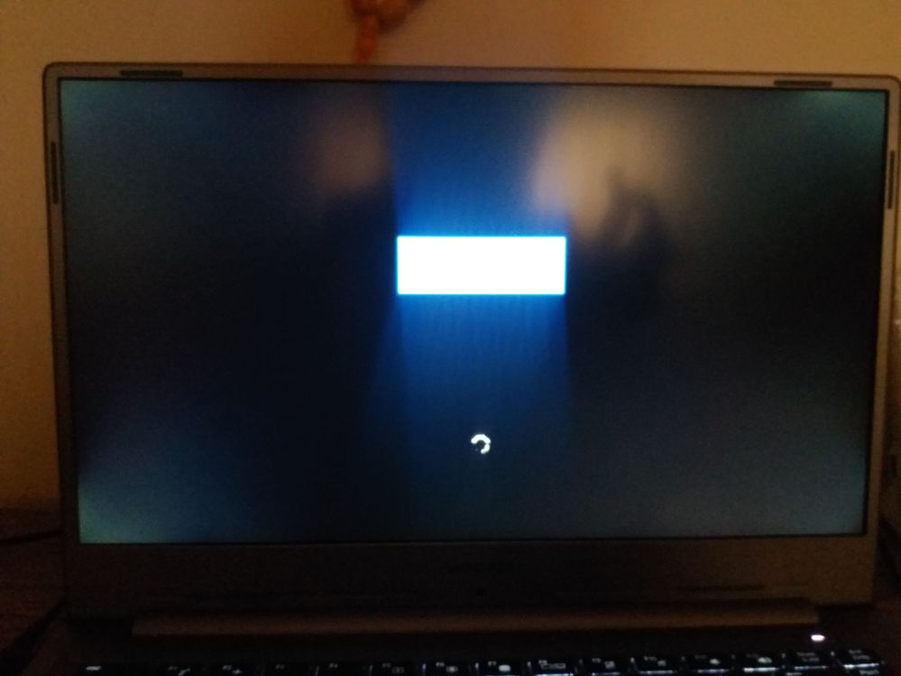 What is this, is this normal?