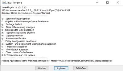 Es öffnet sich das JAVA-Konsolenfenster