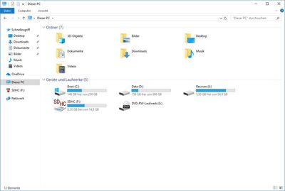 HDD Festplatte mit 'Data' und 'Recover' Partition